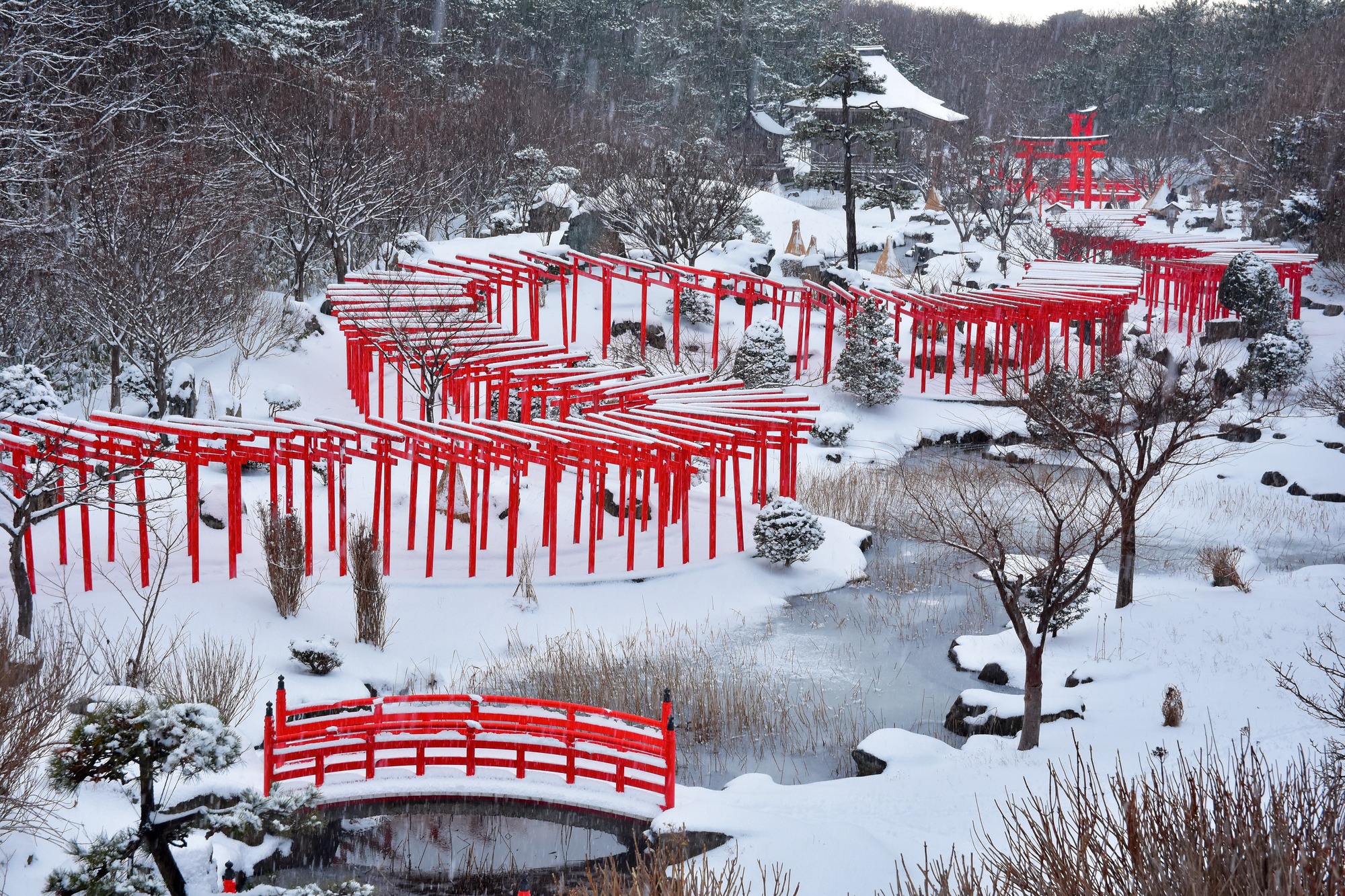どこまでも続く千本鳥居雪の白に朱色が映え、異世界のような光景