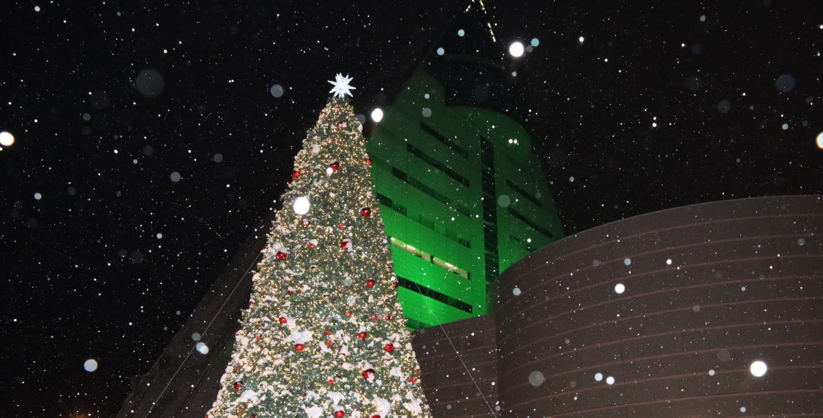 青森のベイエリアを明るく照らすクリスマスの祭典