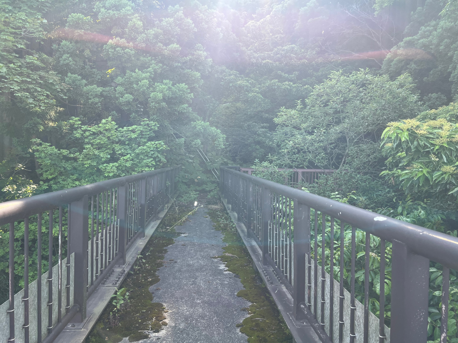 能町みね子の「あんたは青森のいいところばかり見ている」(第21回)