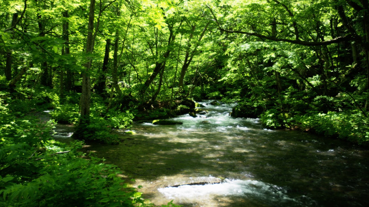 Oirase Gorge