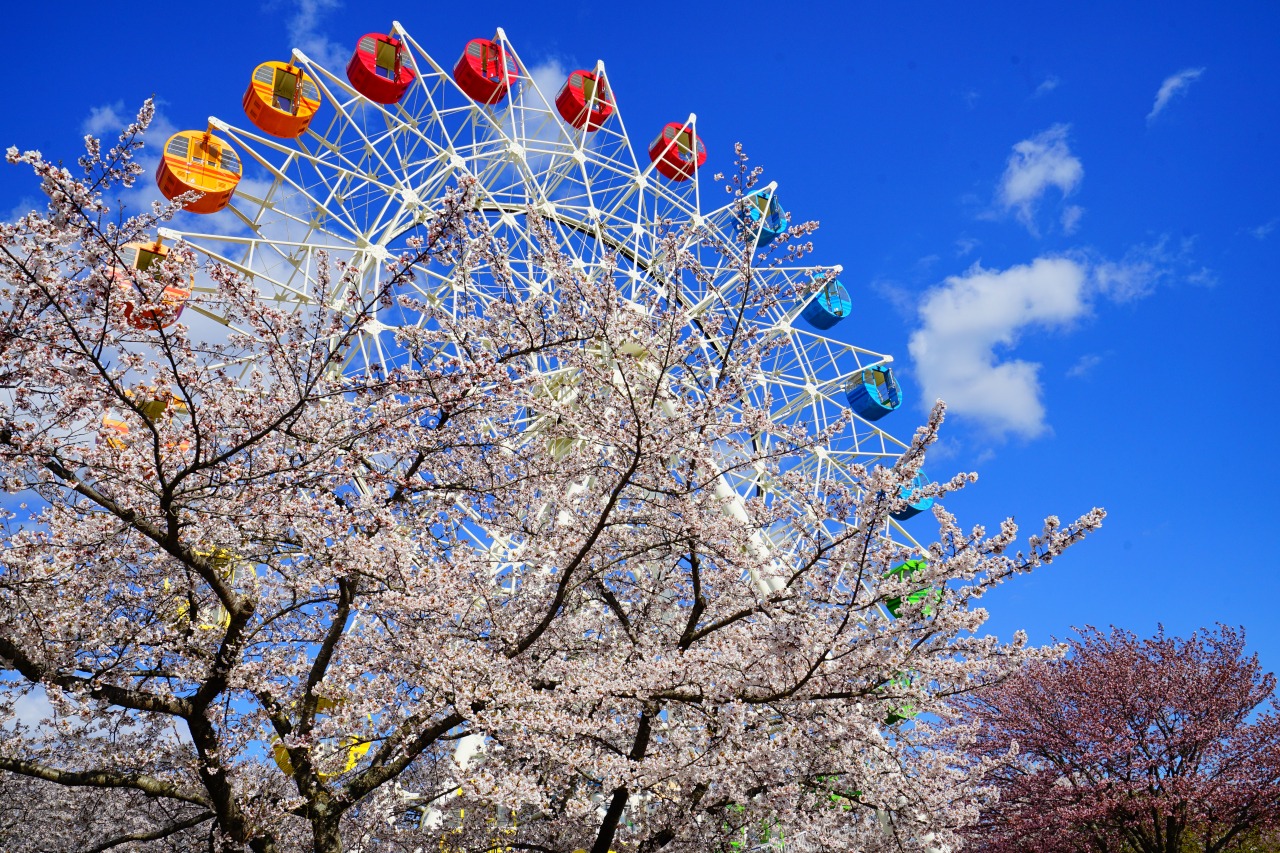 八戸公園(こどもの国・植物園)