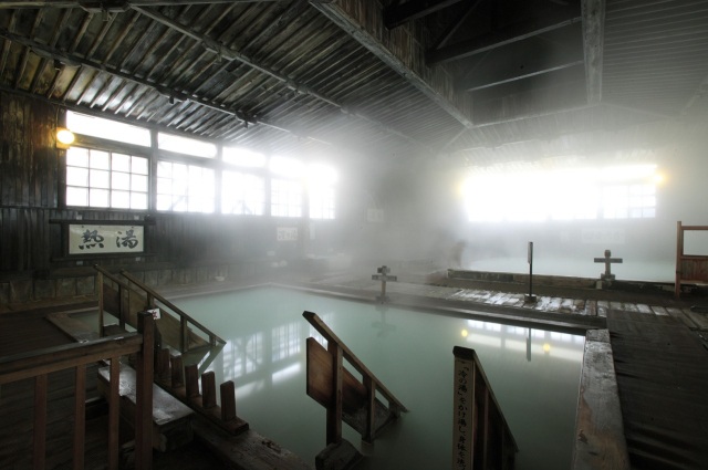 Onsen(Hot Springs)