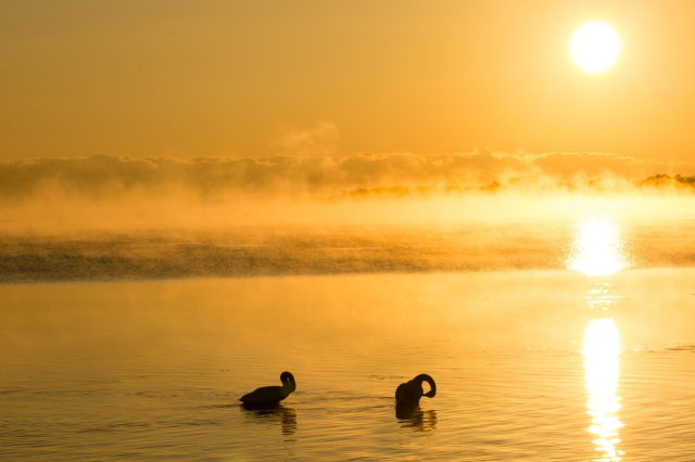 冬だけの感動を体験!青森のおすすめスポット5選