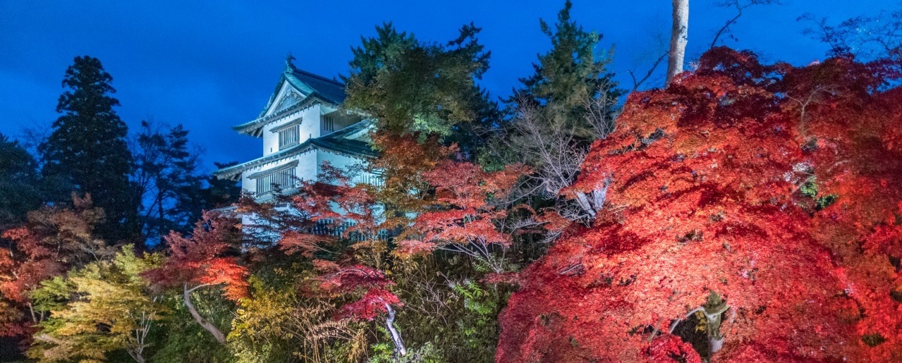 桜まつりとは違った魅力と美しさが際立つ